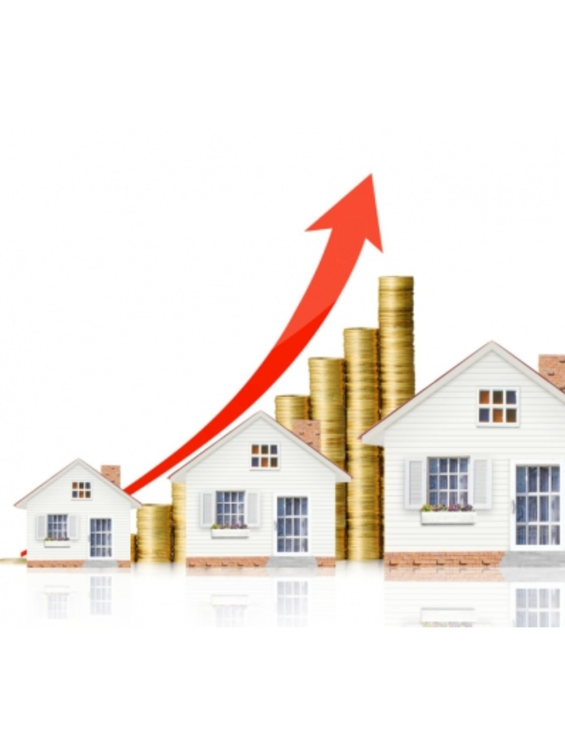 patrimoine immobilier