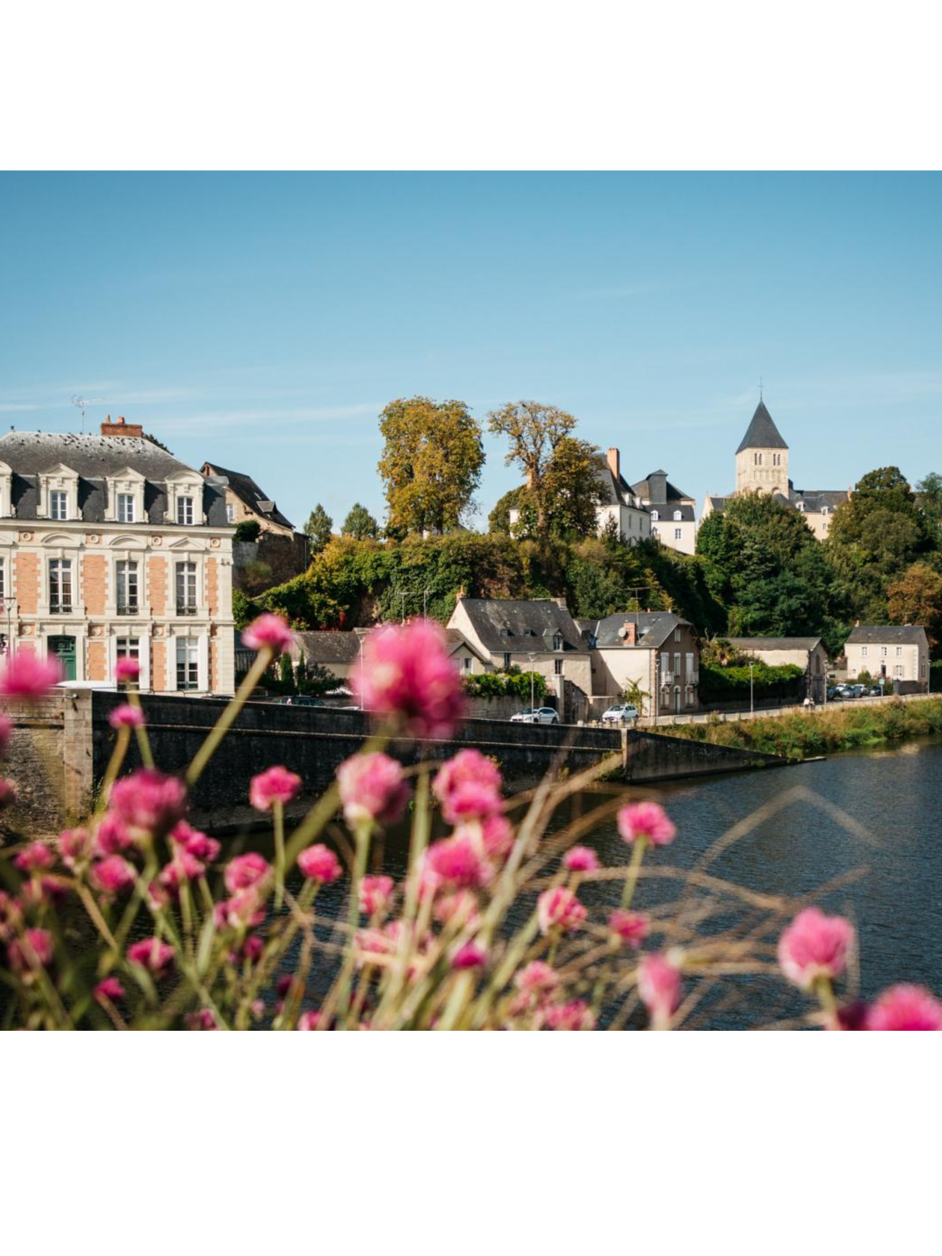bretagne en fleur