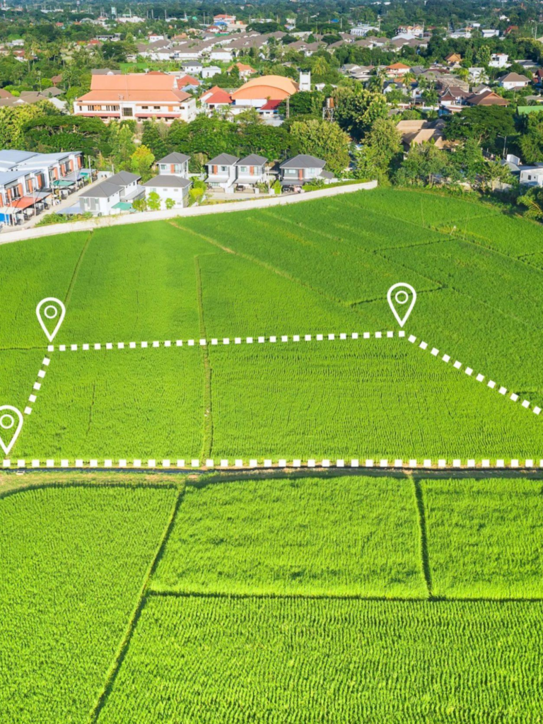 terrain avec trait de limitation du terrain pour faire construire